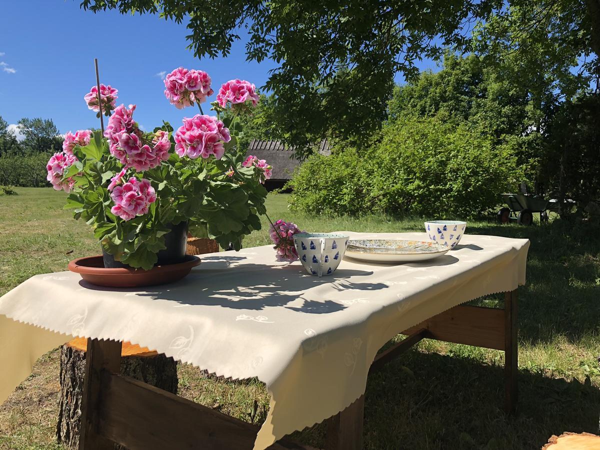 Kaespri Farmstay Koguva Extérieur photo